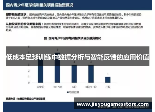 低成本足球训练中数据分析与智能反馈的应用价值